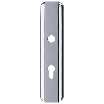 Stainless Steel Handle Plate